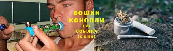 винт Карпинск