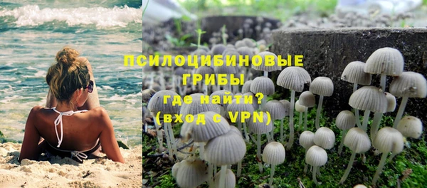 амф Куровское