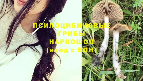 соль курить ск Касимов