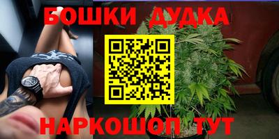 ГАЛЛЮЦИНОГЕННЫЕ ГРИБЫ Беслан