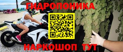 ГАЛЛЮЦИНОГЕННЫЕ ГРИБЫ Беслан