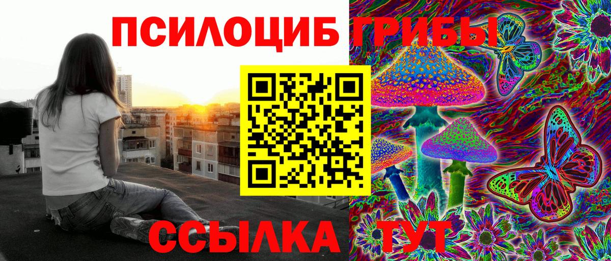 Псилоцибиновые грибы Psilocybe Саранск