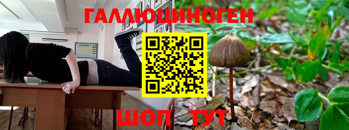 Псилоцибиновые грибы прущие грибы  Галлюциногенные грибы MAGIC MUSHROOMS  где продают наркотики  Саранск 