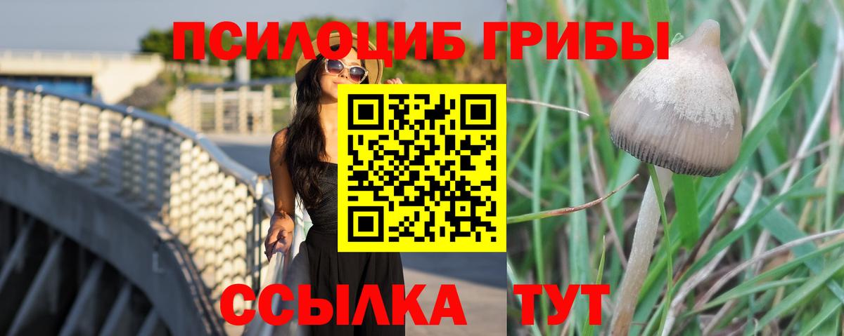 Саранск  сколько стоит  Вход с VPN  Галлюциногенные грибы мухоморы 